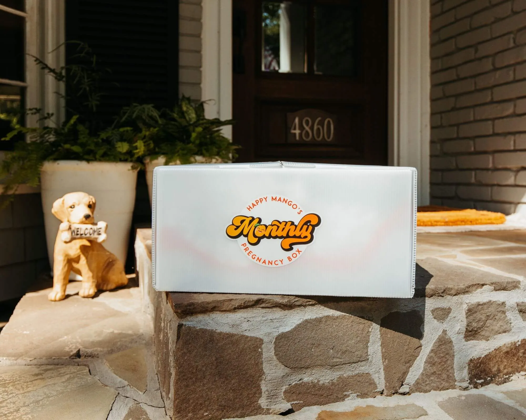6 Month Pregnancy Subscription box