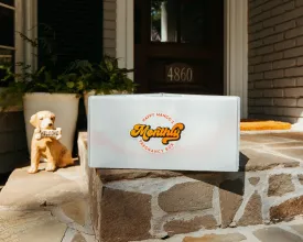 9 Month Pregnancy Subscription box