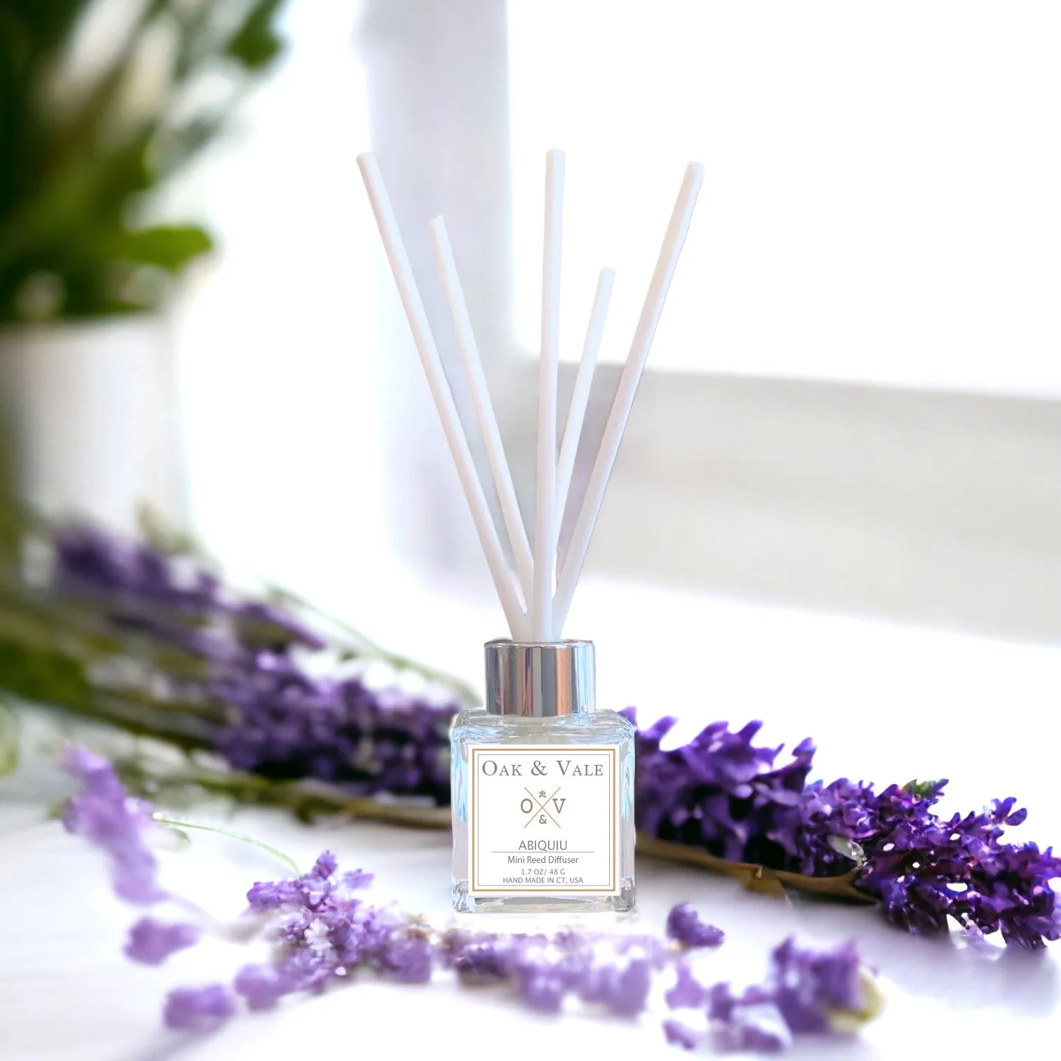 ABIQUIU MINI REED DIFFUSER by Oak & Vale