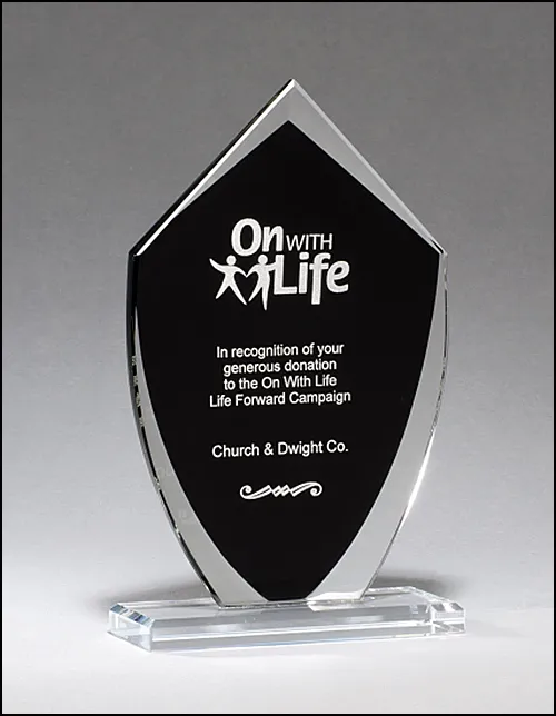 Black Shield Shaped Glass Award