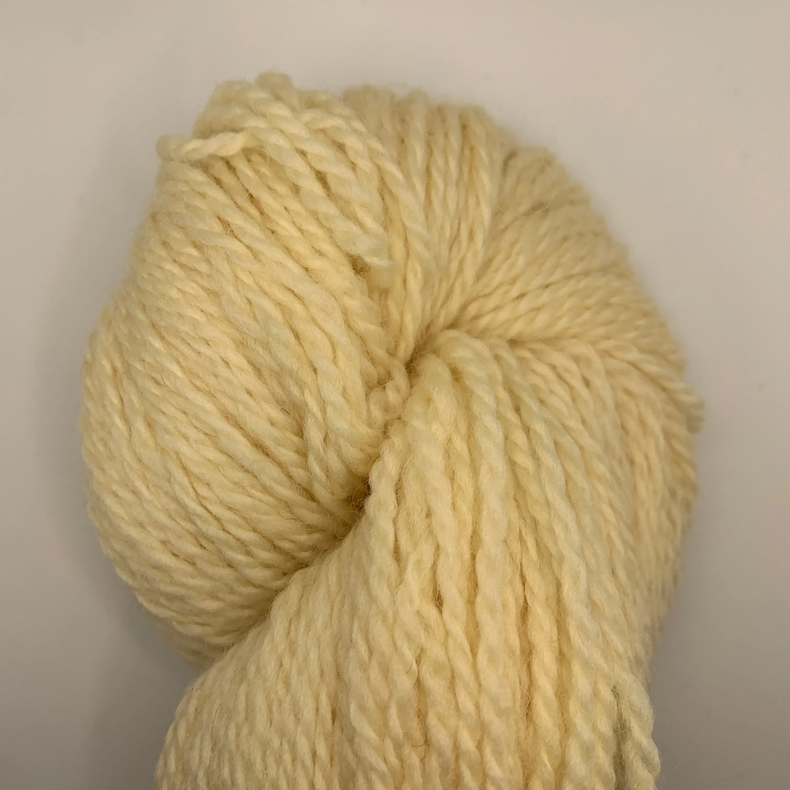 Bluefaced Leicester by Juniper Moon Farm