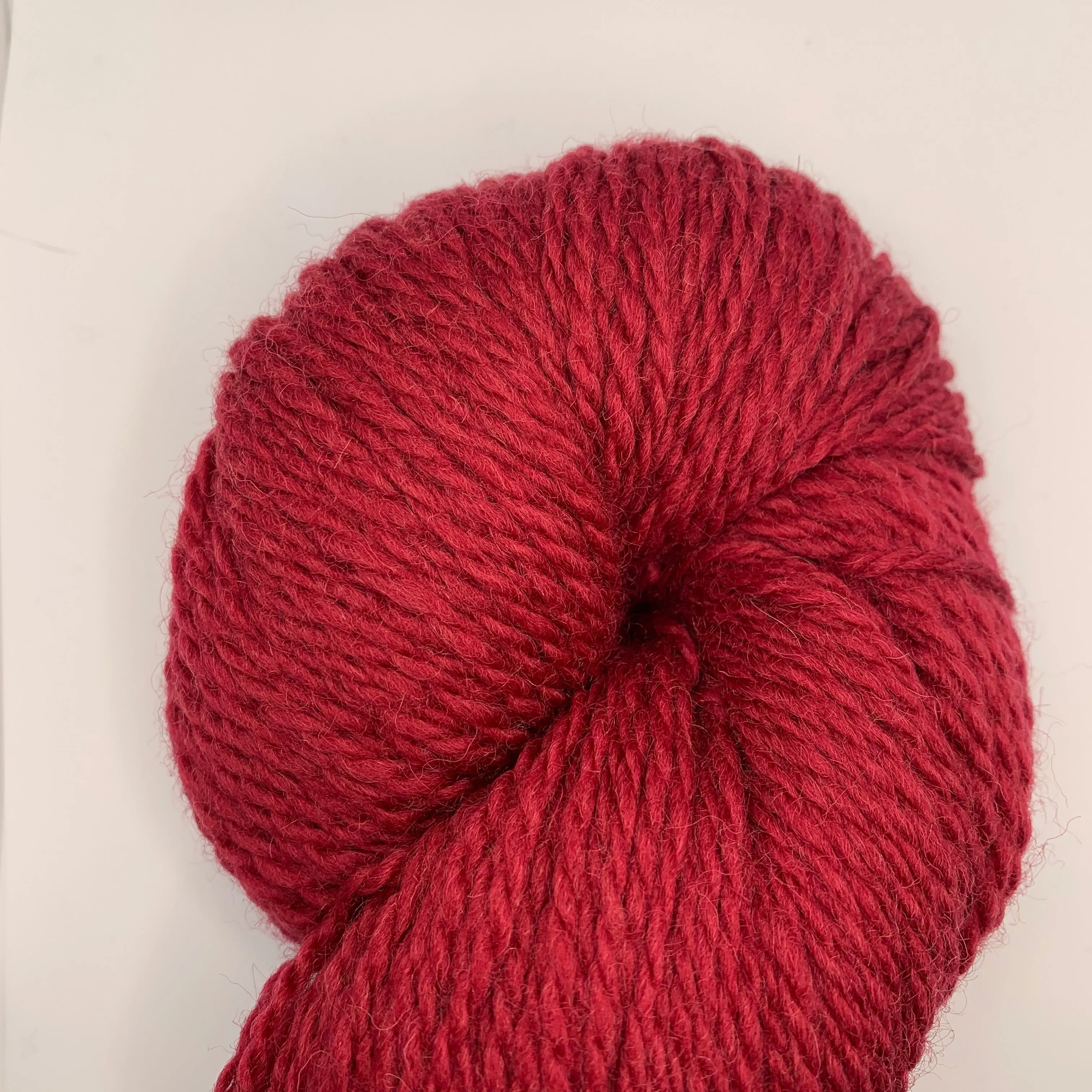 Bluefaced Leicester by Juniper Moon Farm