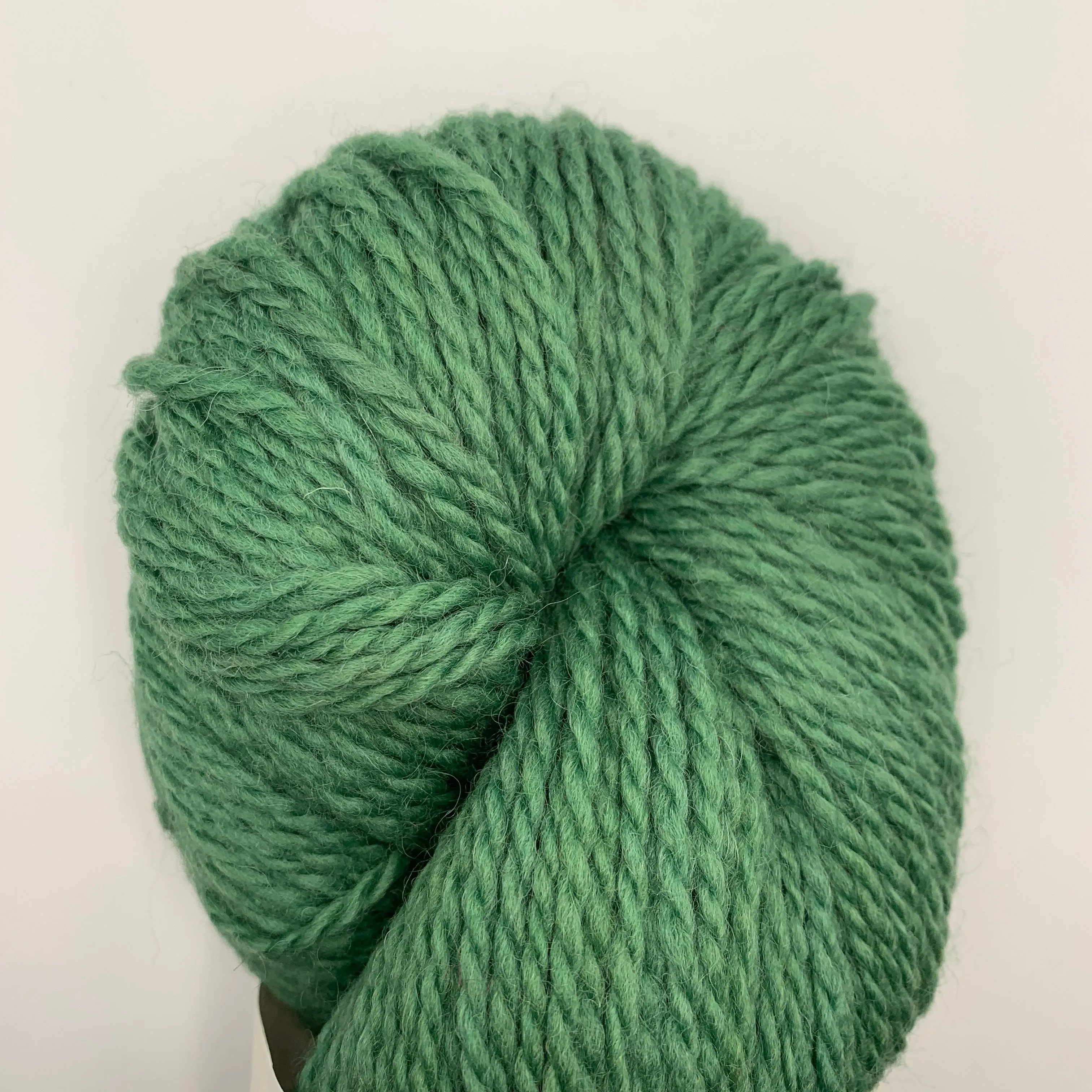 Bluefaced Leicester by Juniper Moon Farm