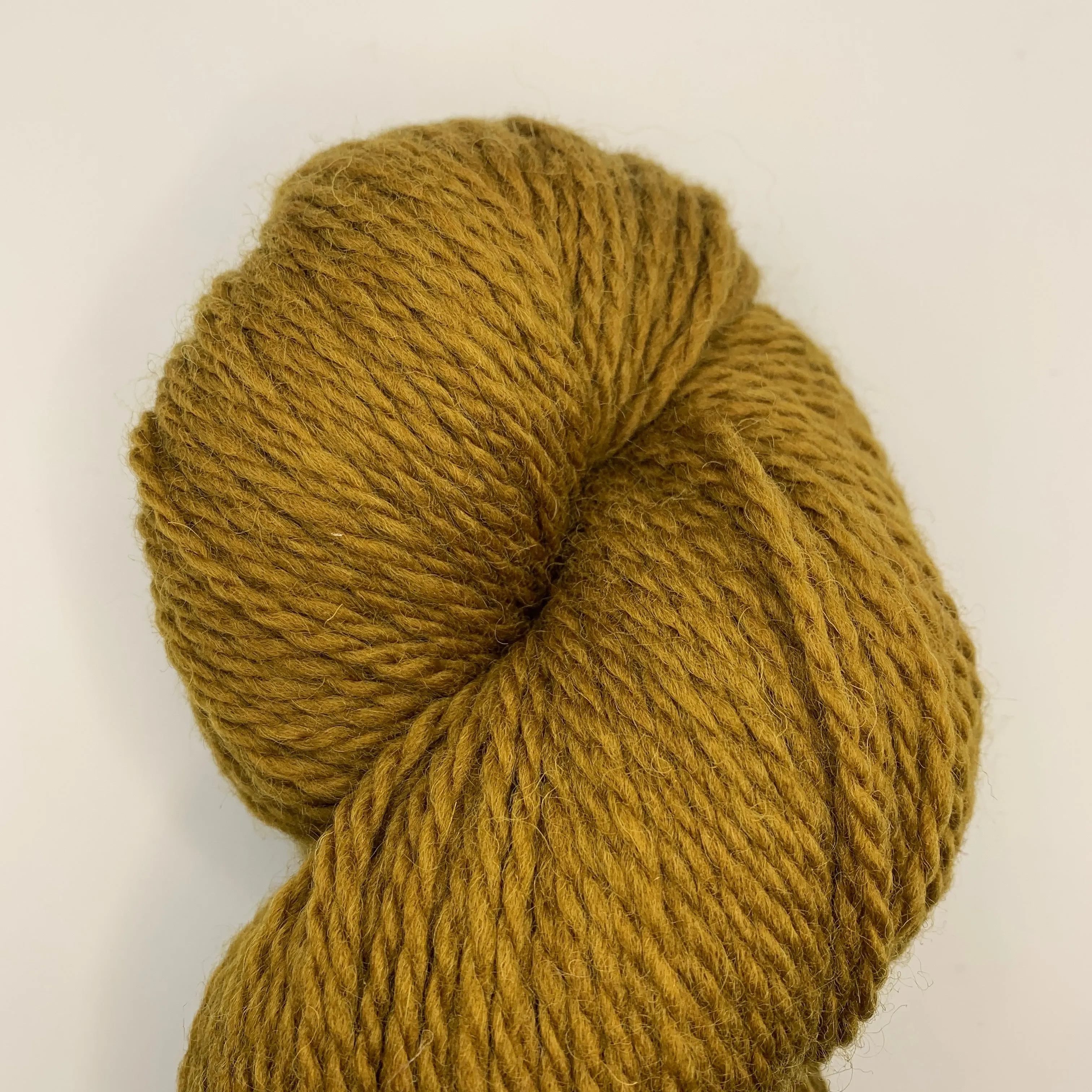 Bluefaced Leicester by Juniper Moon Farm