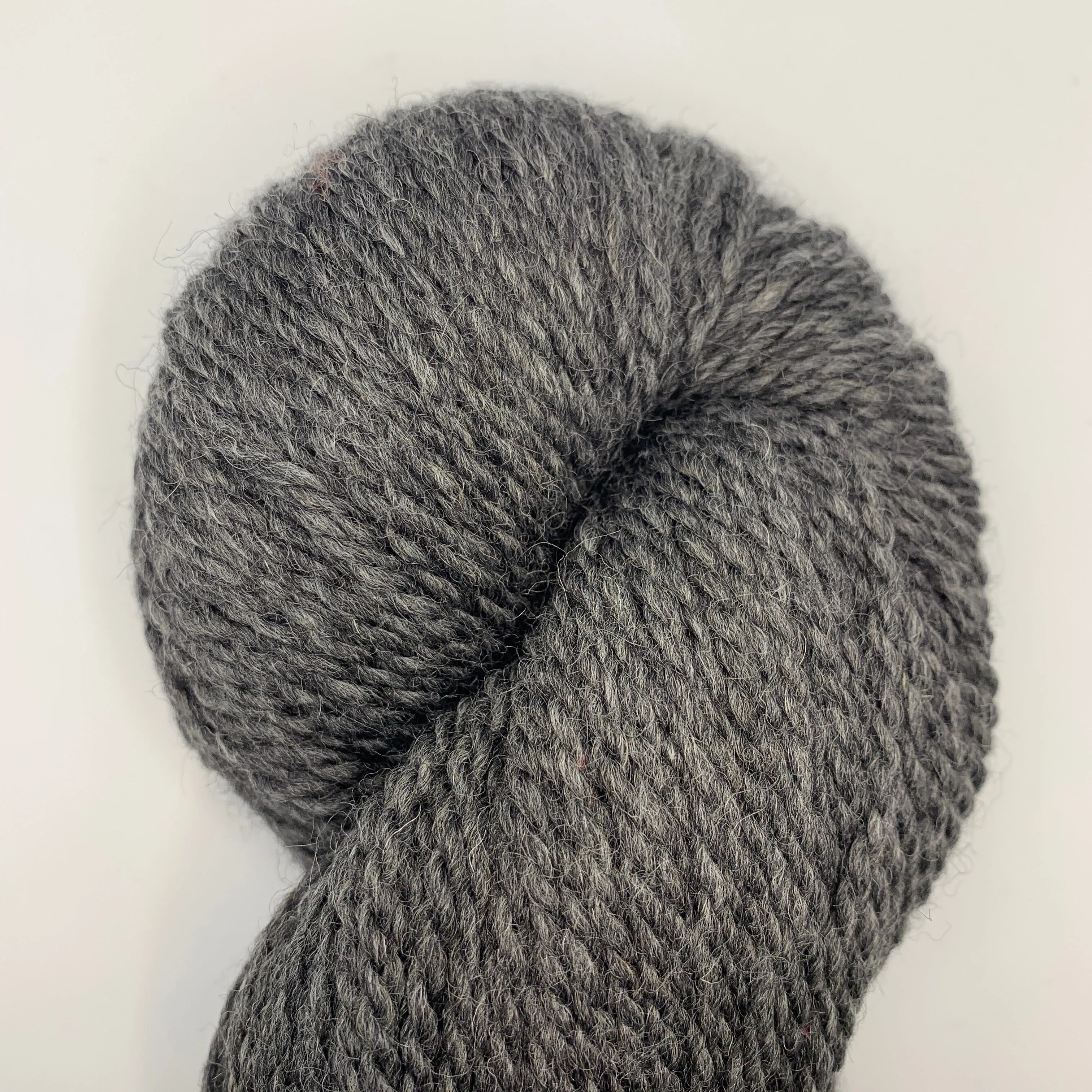Bluefaced Leicester by Juniper Moon Farm