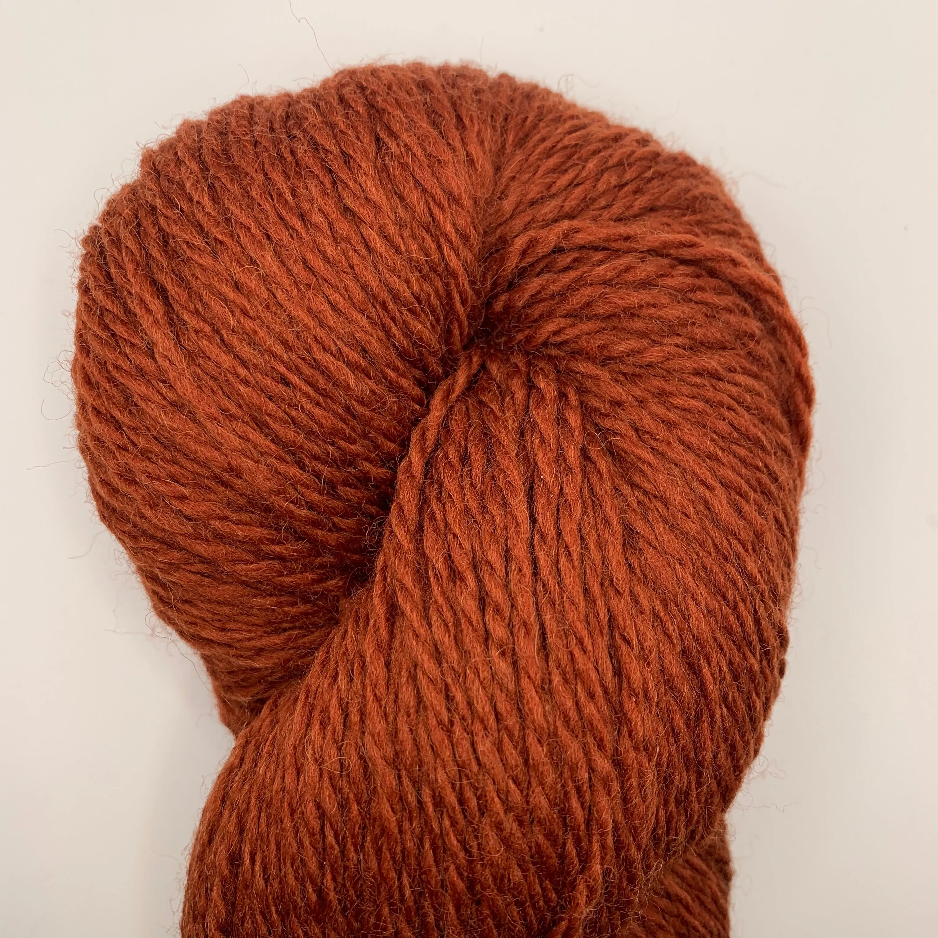 Bluefaced Leicester by Juniper Moon Farm