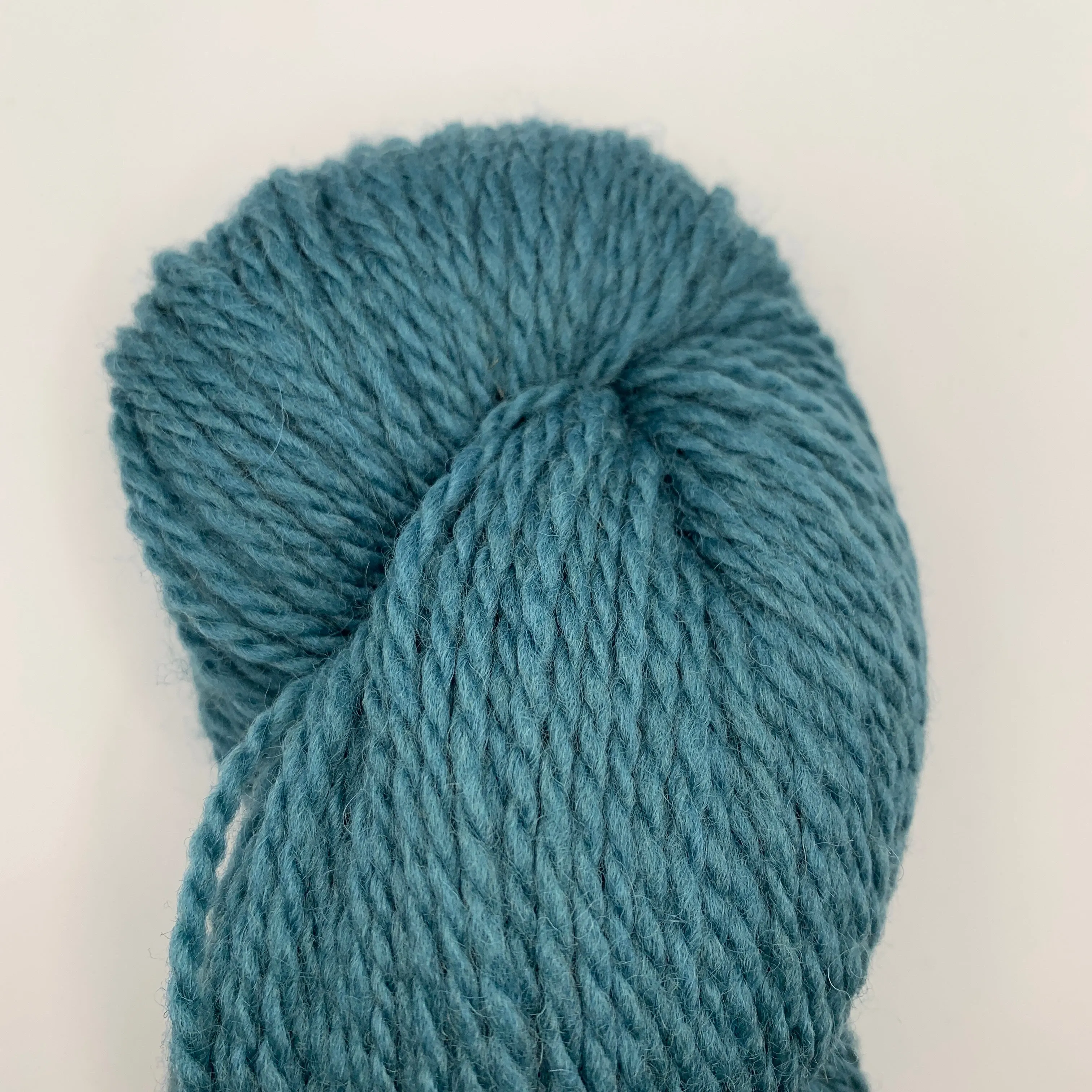 Bluefaced Leicester by Juniper Moon Farm