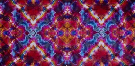'Dos Equis Dream'  Art Panel 42"X21" #3020 $250