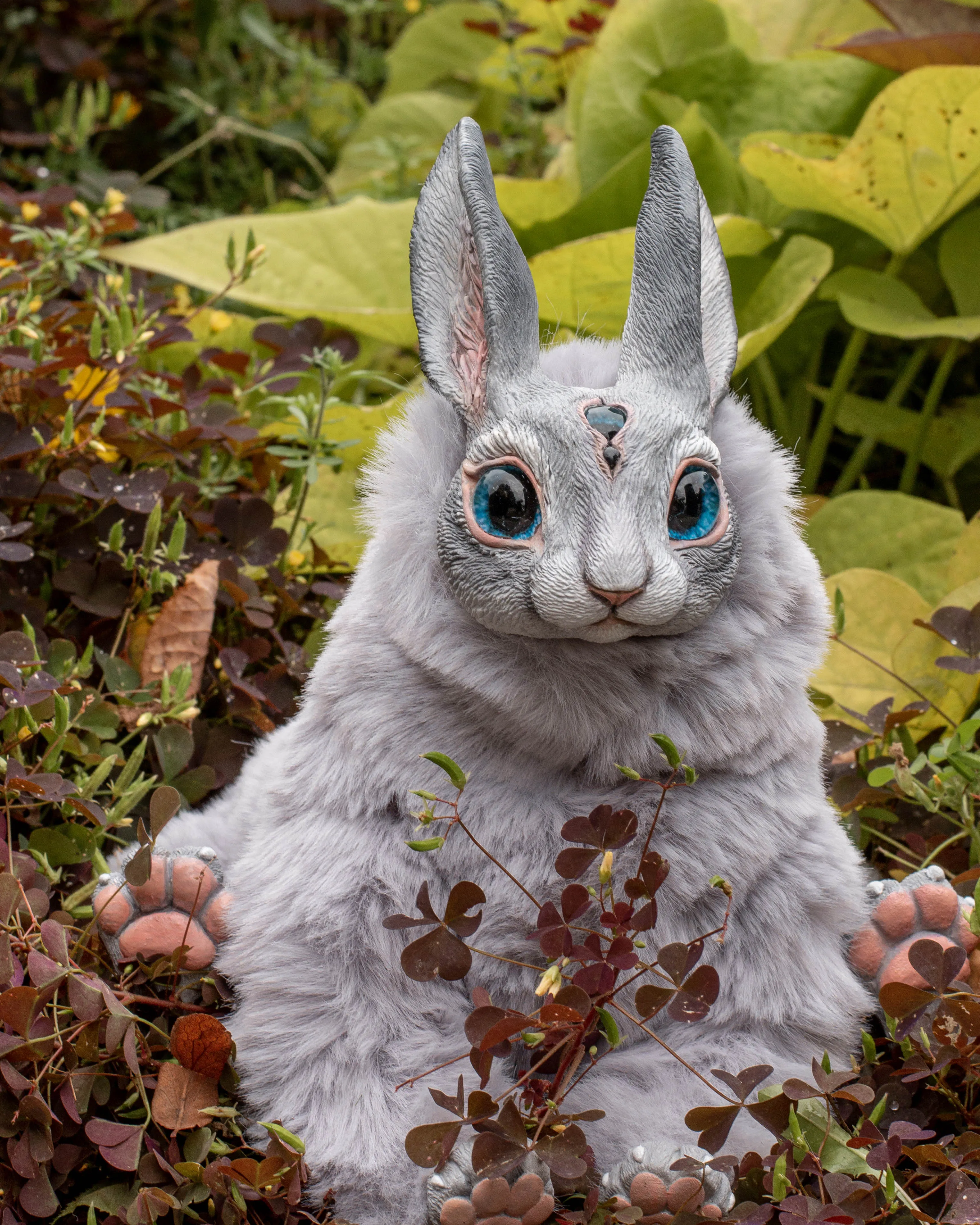 Grey hare mama