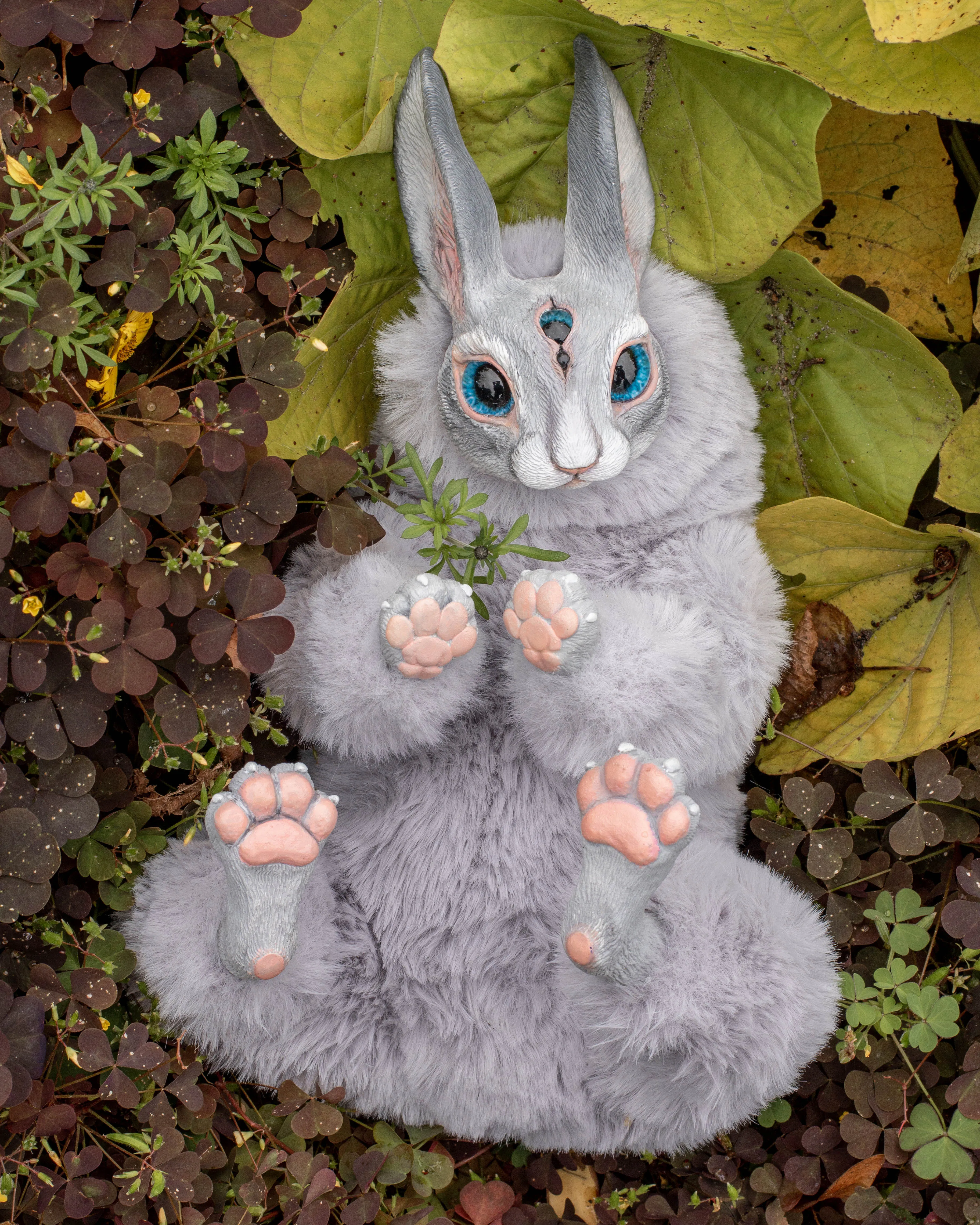 Grey hare mama