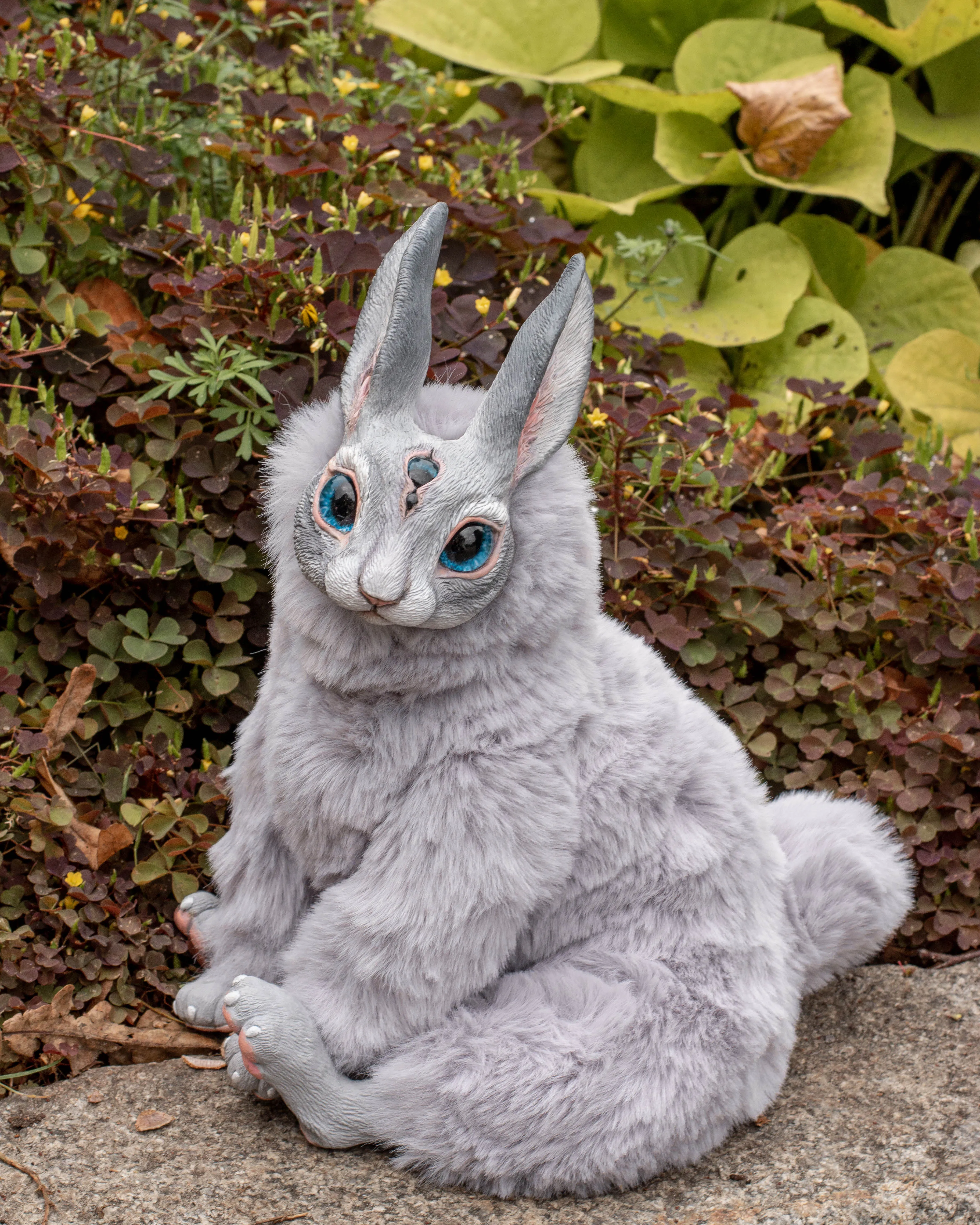 Grey hare mama