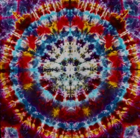 'Snowball in Hell' Art panel 22'x22" #3027  $200