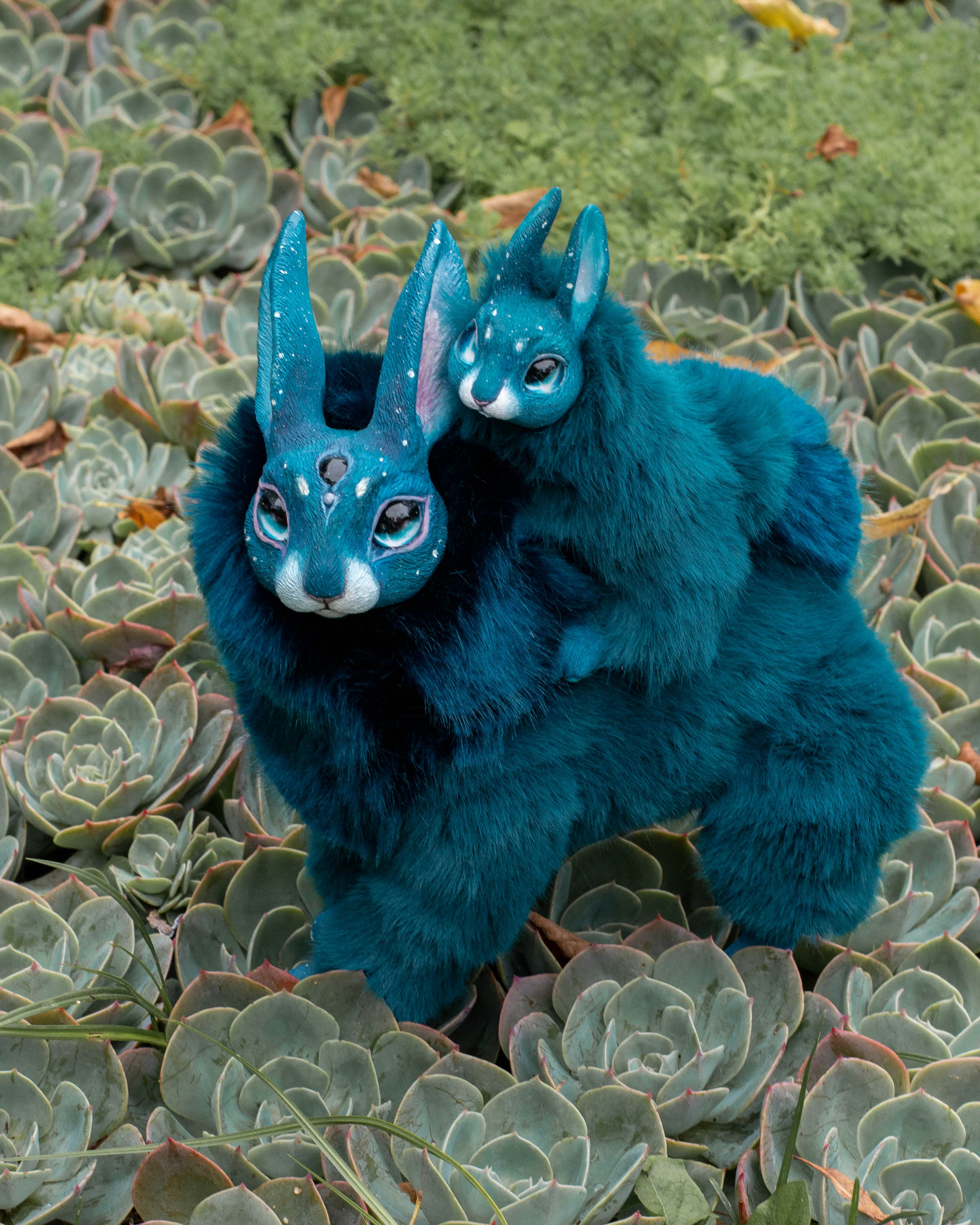Turquoise hare mama