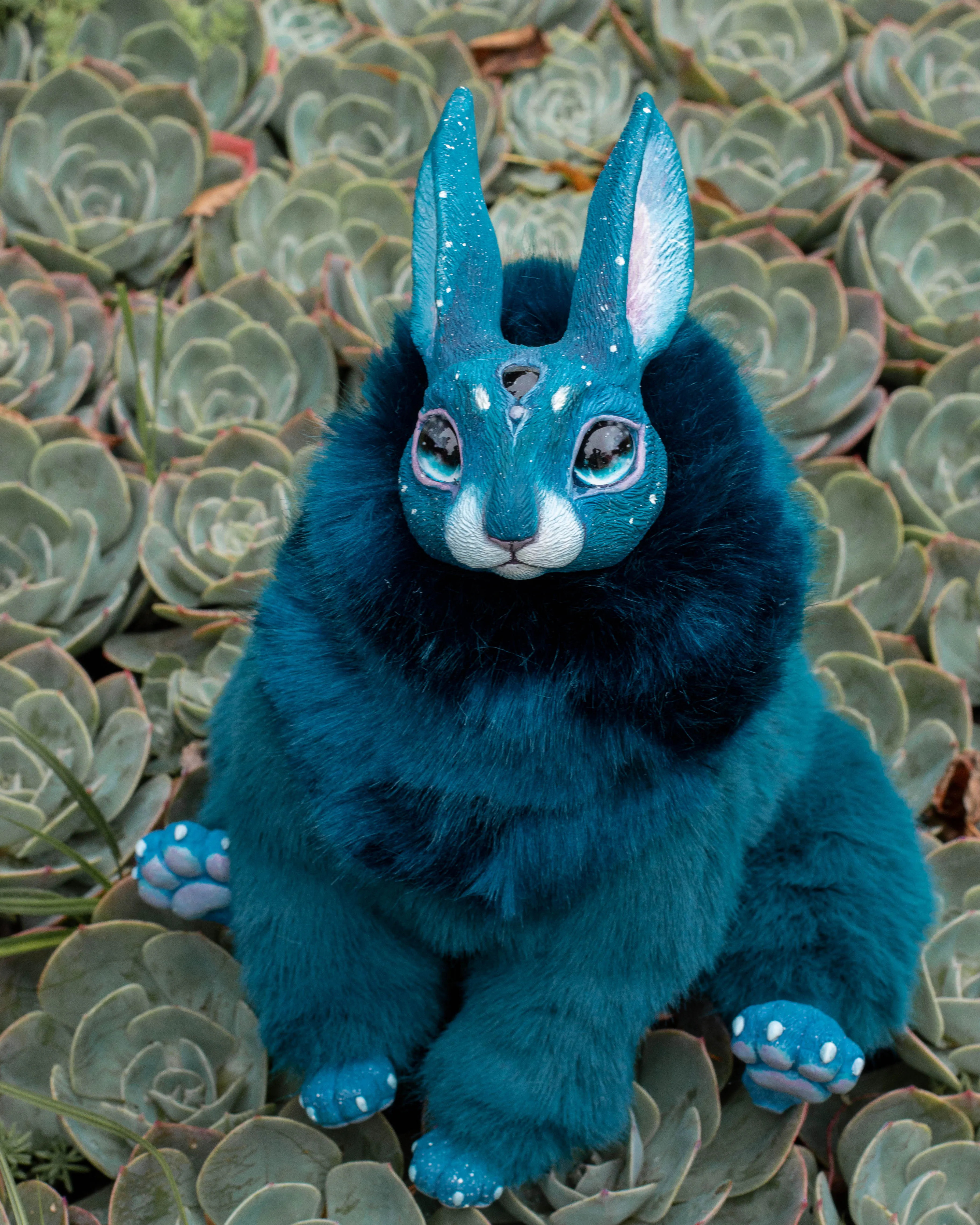 Turquoise hare mama