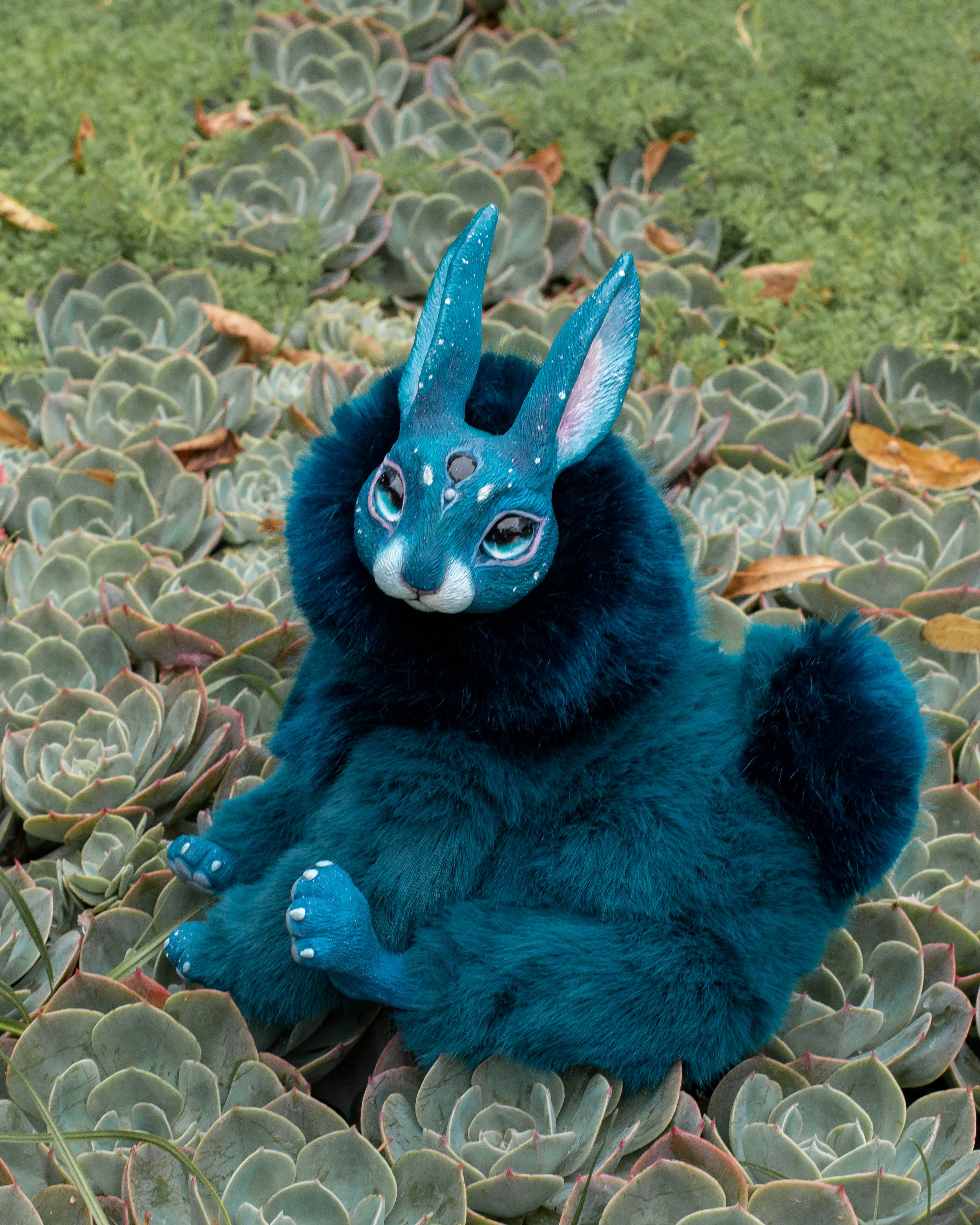 Turquoise hare mama